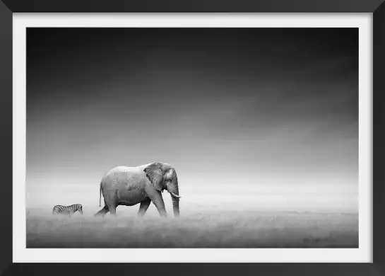 Artistic processing - tableau elephant