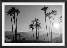 Palm springs - affiche de palmier