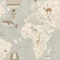Carte du Monde Avions et Montgolfière - tableau enfant pas cher