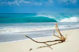 Plage de sable blanc - tableaux mer