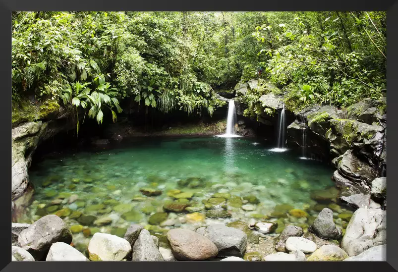 Bassin Paradis - paysage nature