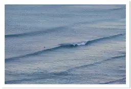Surfeur solitaire - poster ocean