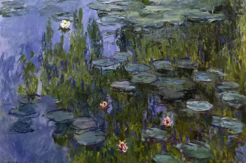 Les nymphéas - -Claude Monet - tableau celebre