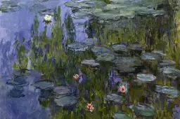 Les nymphéas - -Claude Monet - tableau celebre