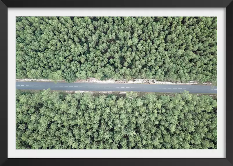 Infinitude de la forêt landaise - affiche sud ouest