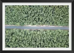 Infinitude de la forêt landaise - affiche sud ouest