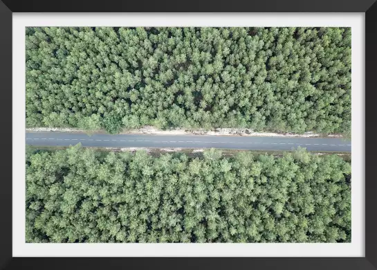 Infinitude de la forêt landaise - affiche sud ouest