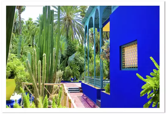Jardin majorelle - poster cactus