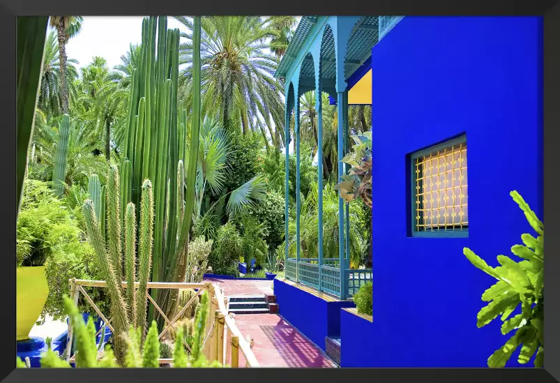 Jardin majorelle - poster cactus