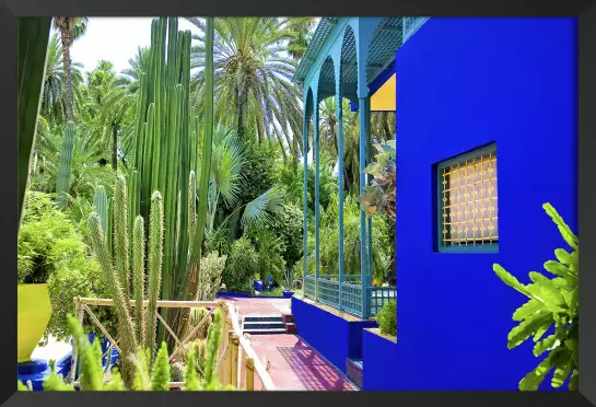 Jardin majorelle - poster cactus