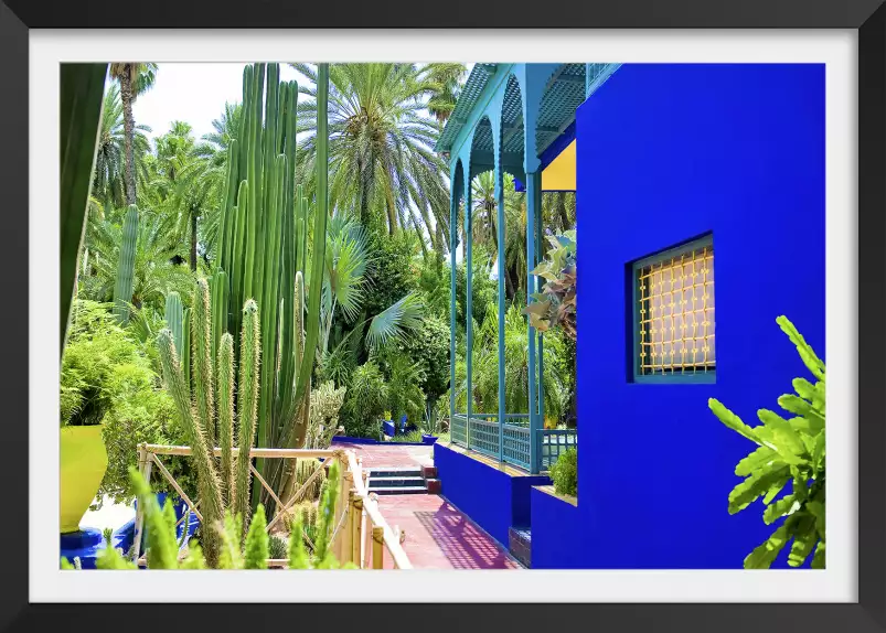 Jardin majorelle - poster cactus