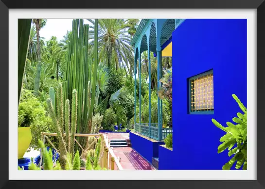 Jardin majorelle - poster cactus