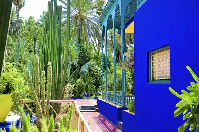 Jardin majorelle - poster cactus