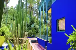 Jardin majorelle - poster cactus