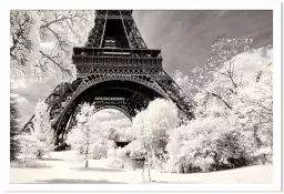 Winter white la tour eiffel - tableau paris