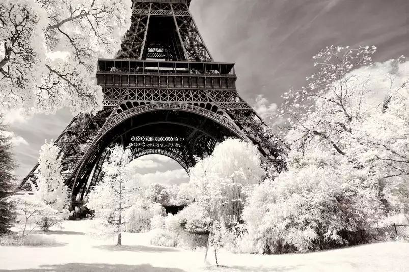 Winter white la tour eiffel - tableau paris