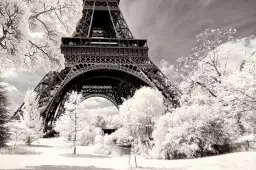 Winter white la tour eiffel - tableau paris