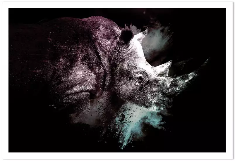 Wild explosion rhino- portrait animaux