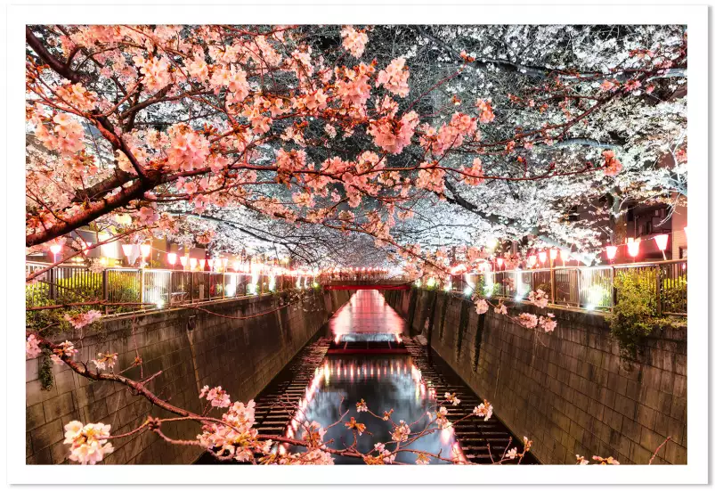 Cerisiers et hanami à tokyo - tableau japon