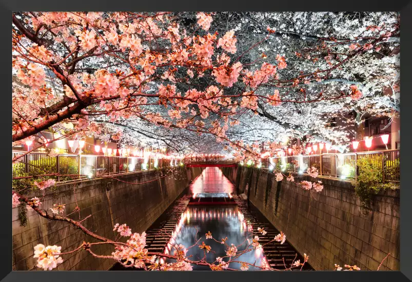 Cerisiers et hanami à tokyo - tableau japon