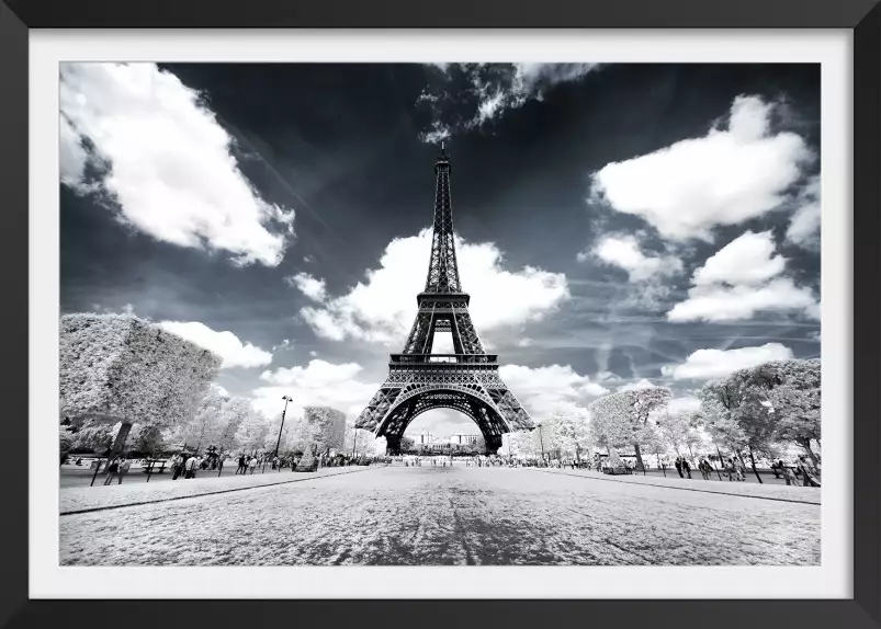 Vue du champ de mars - paris la tour eiffel