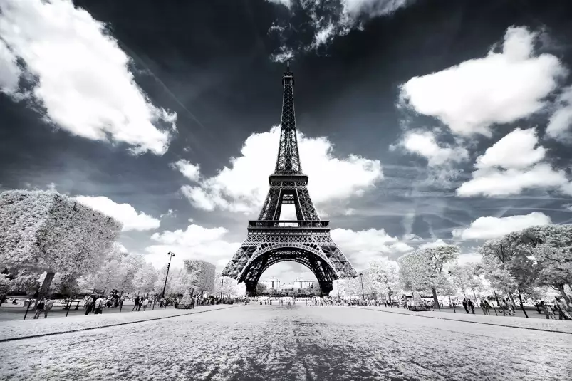 Vue du champ de mars - paris la tour eiffel