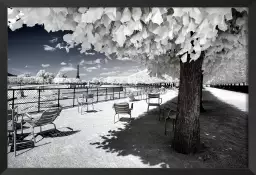 Les chaises du jardin du luxembourg - paris tableau