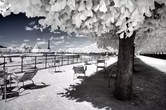 Les chaises du jardin du luxembourg - paris tableau