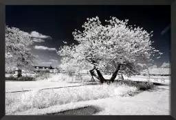 Jardin blanc comme neige - affiche paris