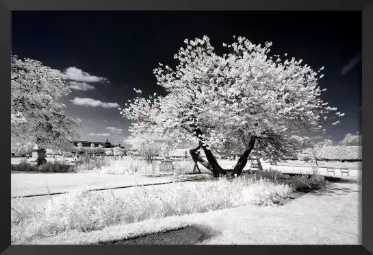 Jardin blanc comme neige - affiche paris