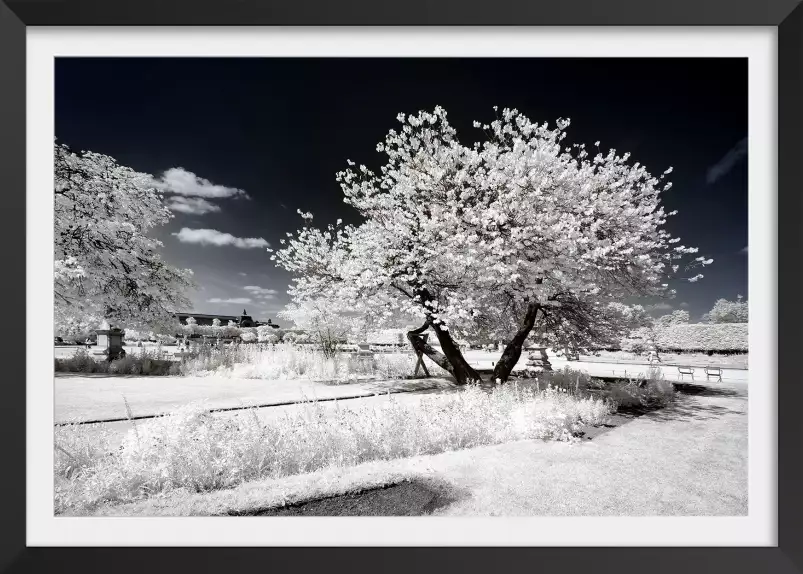 Jardin blanc comme neige - affiche paris