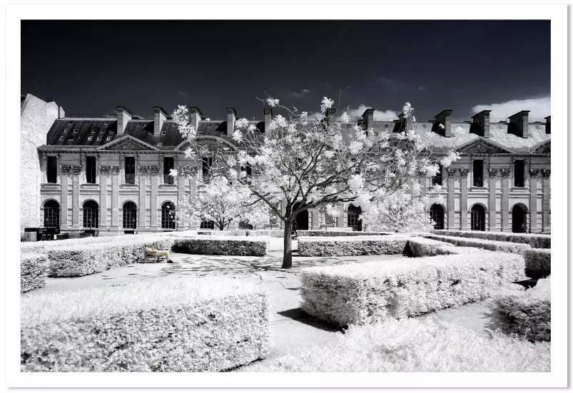 Le louvre jardin des tuileries - paris tableau
