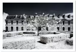 Le louvre jardin des tuileries - paris tableau