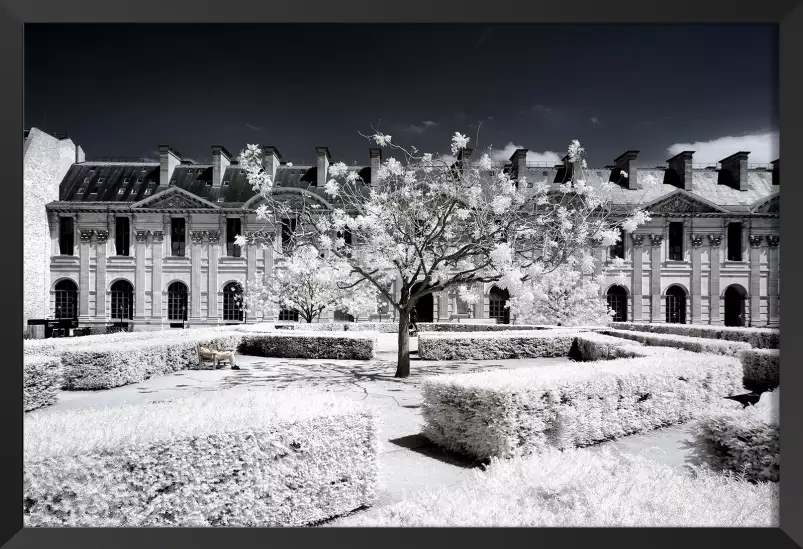 Le louvre jardin des tuileries - paris tableau