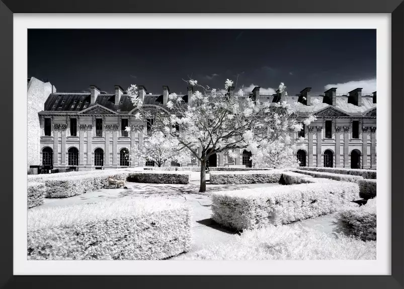 Le louvre jardin des tuileries - paris tableau