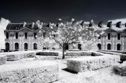 Le louvre jardin des tuileries - paris tableau