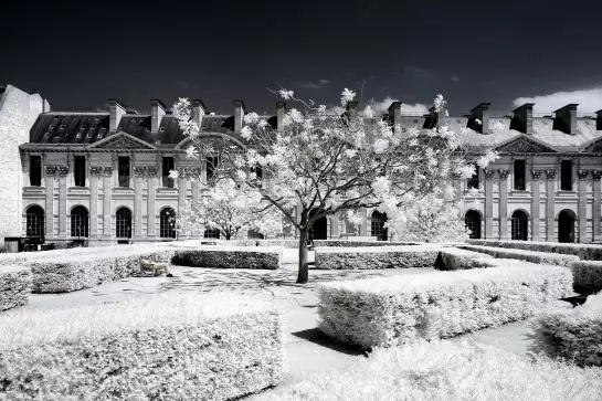 Le louvre jardin des tuileries - paris tableau