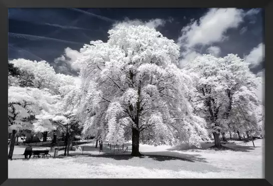 Arbre à neige - affiches paris