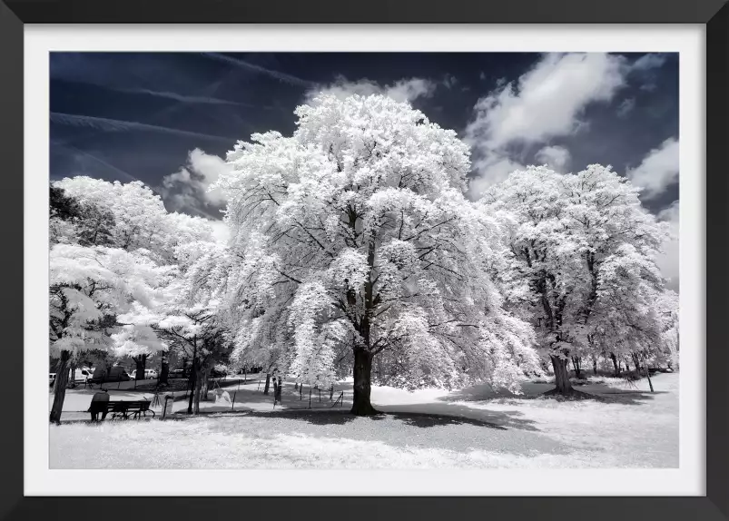 Arbre à neige - affiches paris