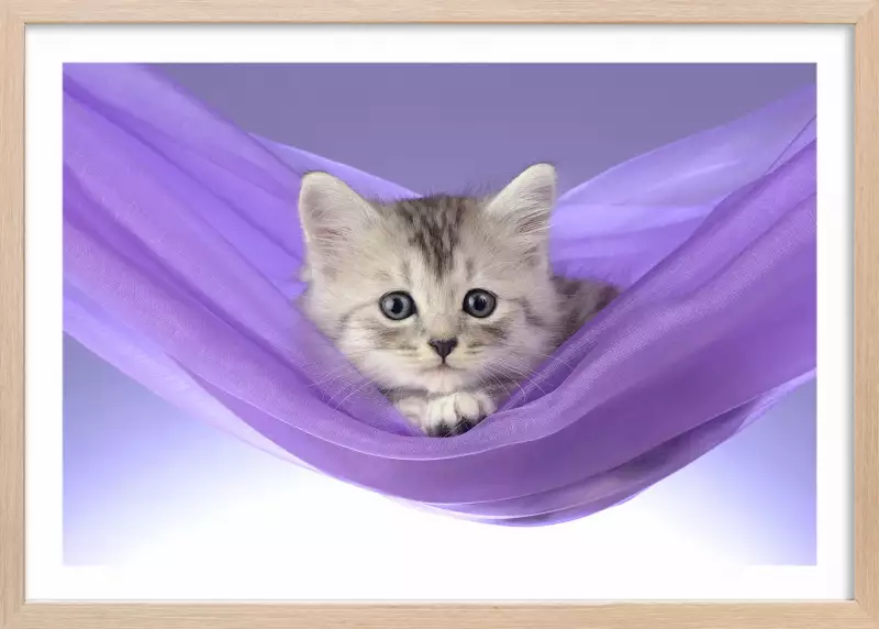 Impression de chat de pépinière, affiche de chaton, chats de personnalité  avec des accessoires, numérique imprimable