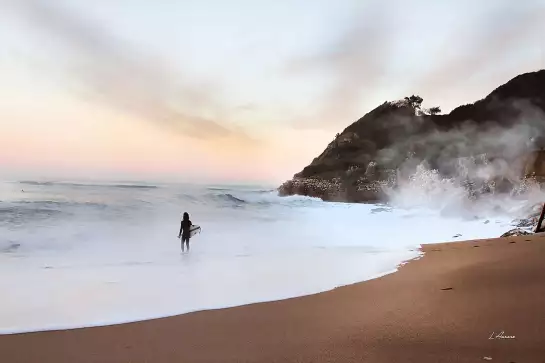 Lafitenia - affiche de surf