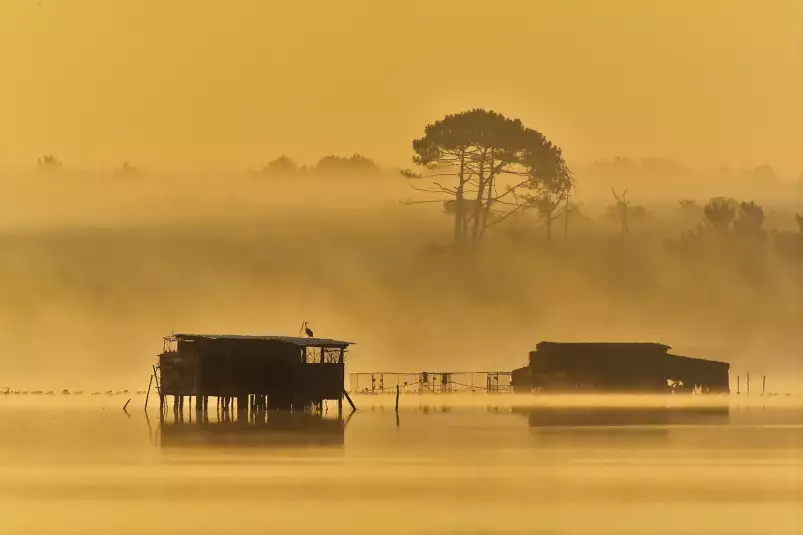 Cabanes landaises - tableau paysage lac