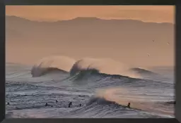 Plage hossegor mouettes au pic - poster ocean