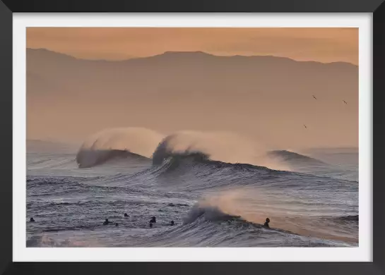 Plage hossegor mouettes au pic - poster ocean