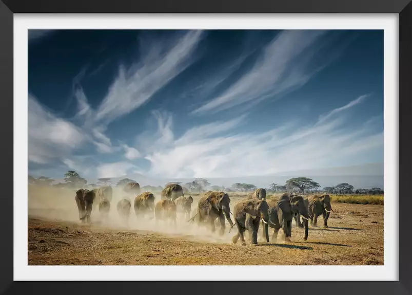 Elephant family - tableau animaux