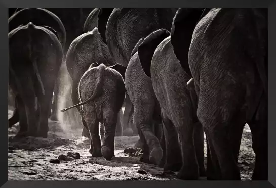 Cap afrique - tableau eléphant