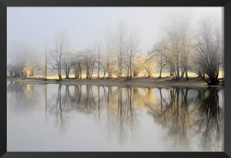 Une journée de janvier - paysage hiver