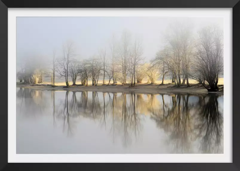 Une journée de janvier - paysage hiver