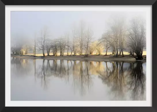 Une journée de janvier - paysage hiver