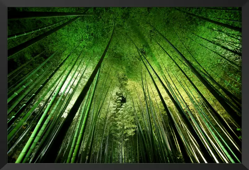 Forêt de bambous à kyoto - tableau japonisant